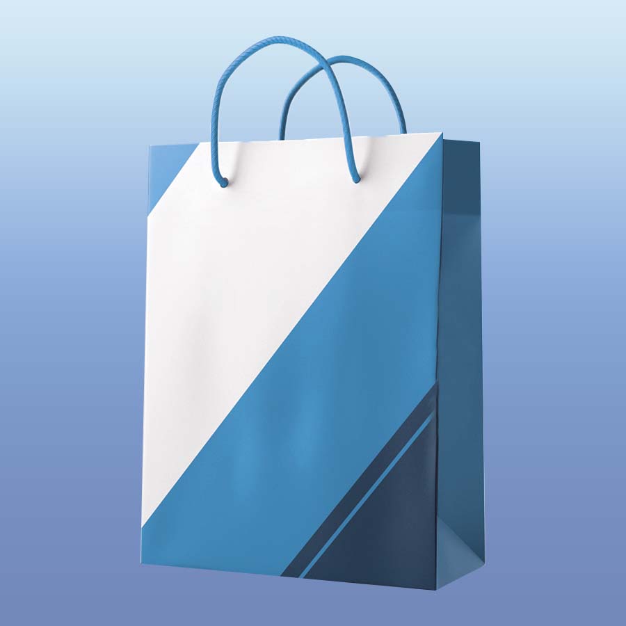 Paper Gift Bags with handles