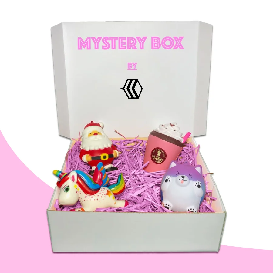 Squishy Mystery Box
