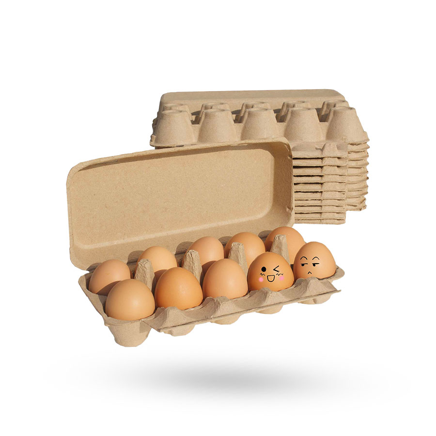 Egg Cartons Tray1