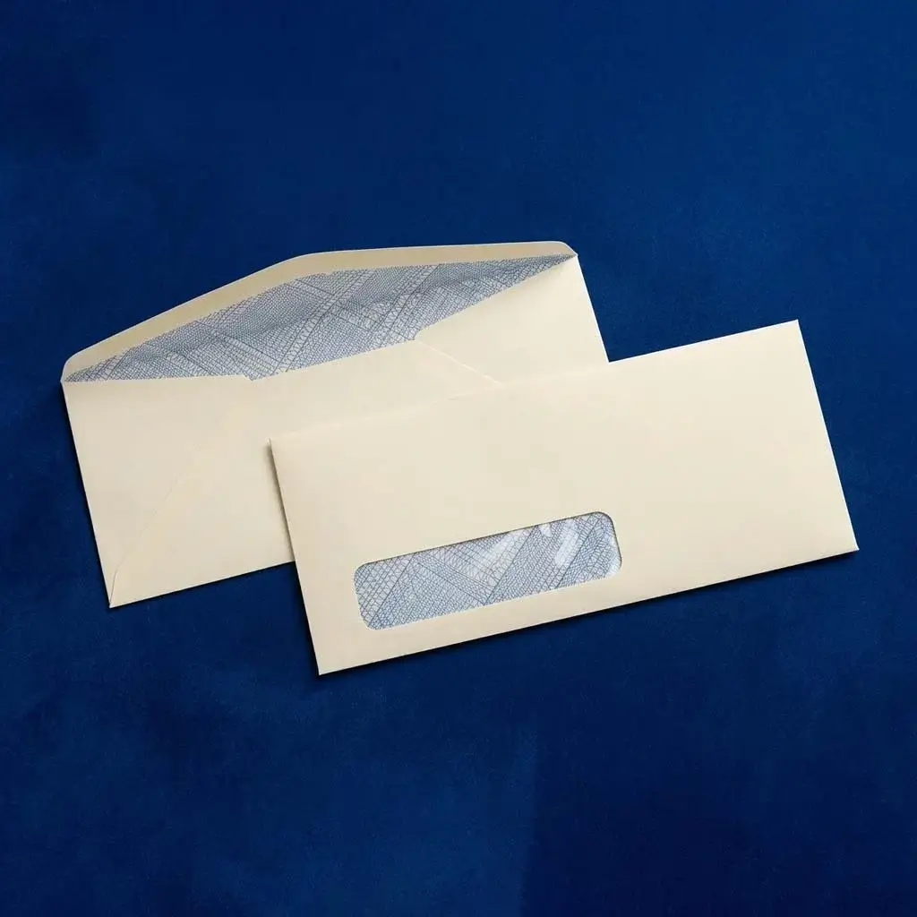 10 Window Envelope